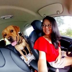 Meet your Posher, Joui